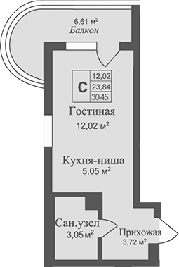 Планировка — Аллея Дружбы, Студия, 24 м²