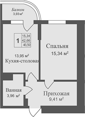 Планировка — Аллея Дружбы, 1-комн., 43 м²