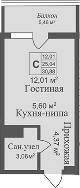 Планировка — Аллея Дружбы, Студия, 25 м²