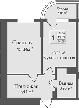Планировка — Аллея Дружбы, 1-комн., 43 м²