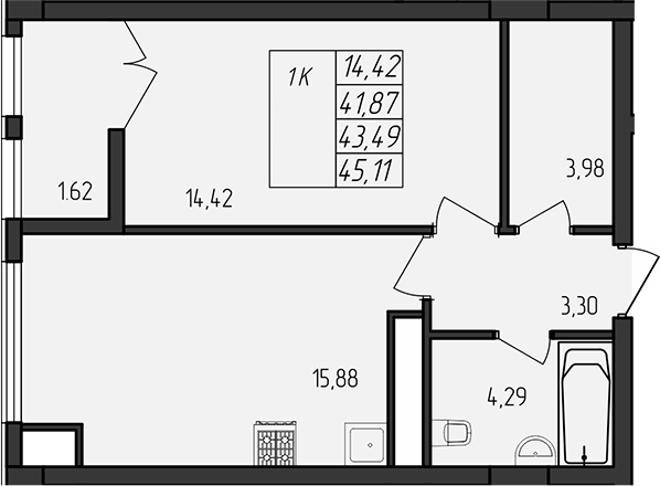 Планировка — Лермонтовский, 1-комн., 42 м²