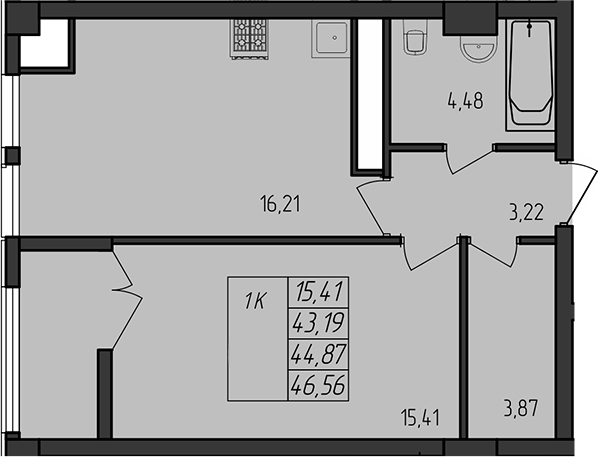 Планировка — Лермонтовский, 1-комн., 43 м²