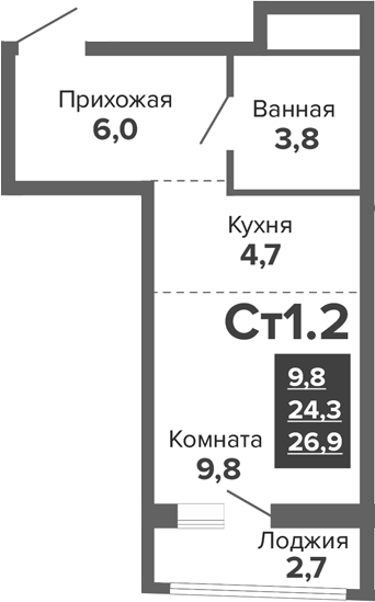 Планировка — Синица. Реформа, Студия, 24 м²
