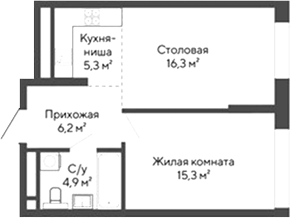 Планировка — Никольский, 1-комн., 48 м²